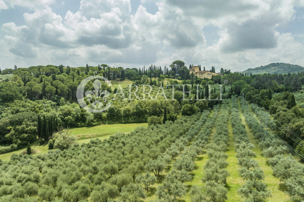 Роскошная историческая вилла с оливковой рощей