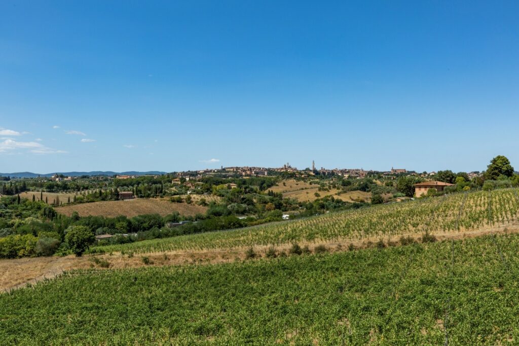 Castello con azienda agricola vicino Siena