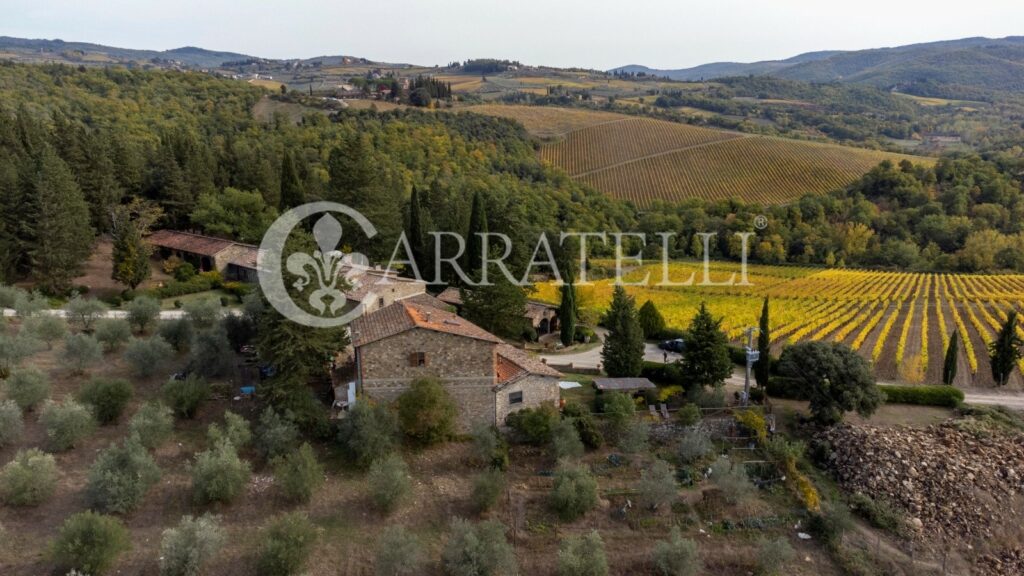 Winery with farmhouse in Greve in Chianti