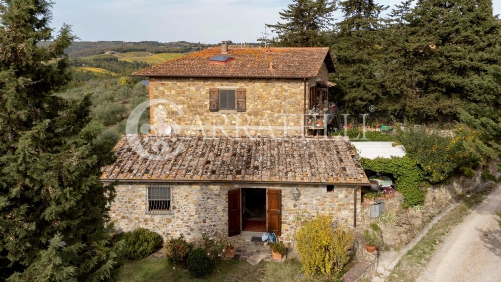 Winery with farmhouse in Greve in Chianti