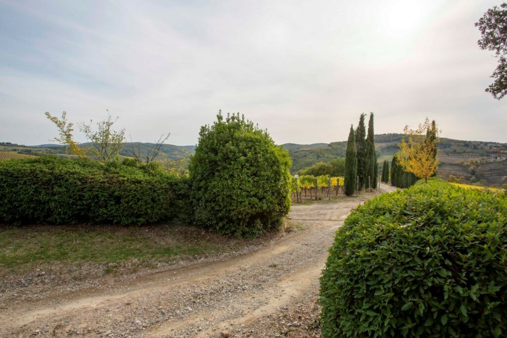 Azienda vitivinicola con casale e cantina in Greve in Chianti