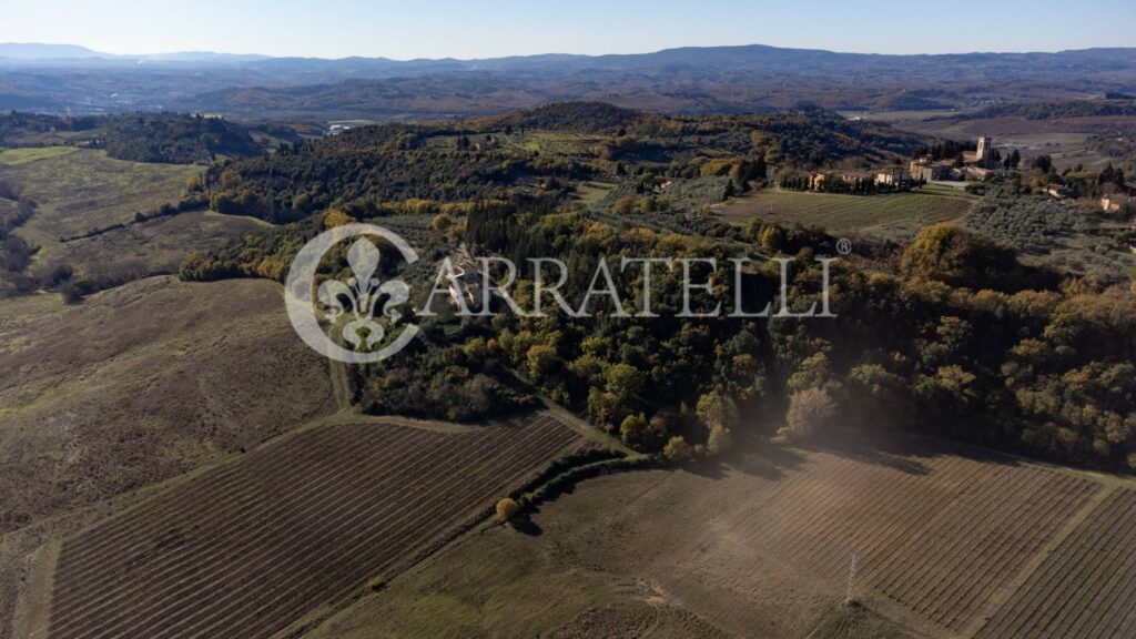 Ферма с виноградником, оливковой рощей и трюфельной площадкой в Барберино-Таварнелле