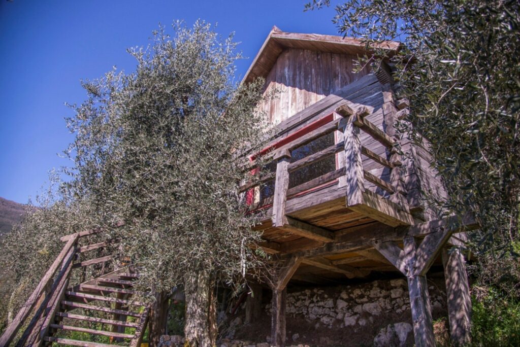 Фермерский дом художника с бассейном и оливковой рощей в Версилии – Камайоре