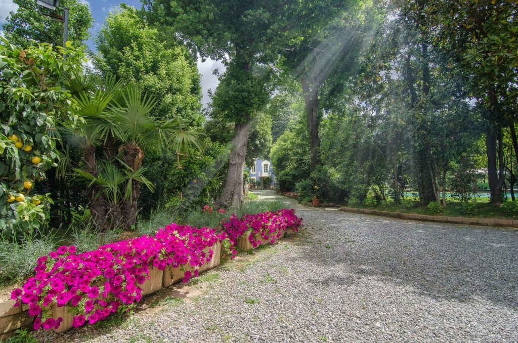 Meravigliosa villa d’epoca con parco e piscina a Lucca