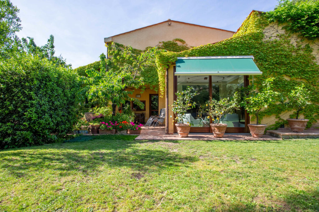 Modern villa with garden
