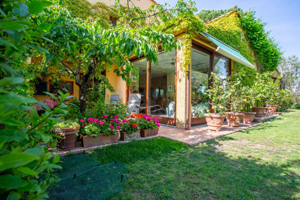 Modern villa with garden