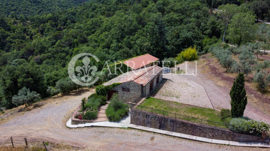 Farm with accommodation in the heart of Chianti