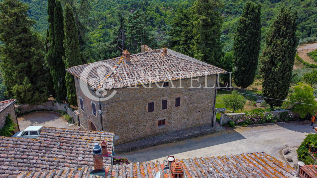 Farm with accommodation in the heart of Chianti