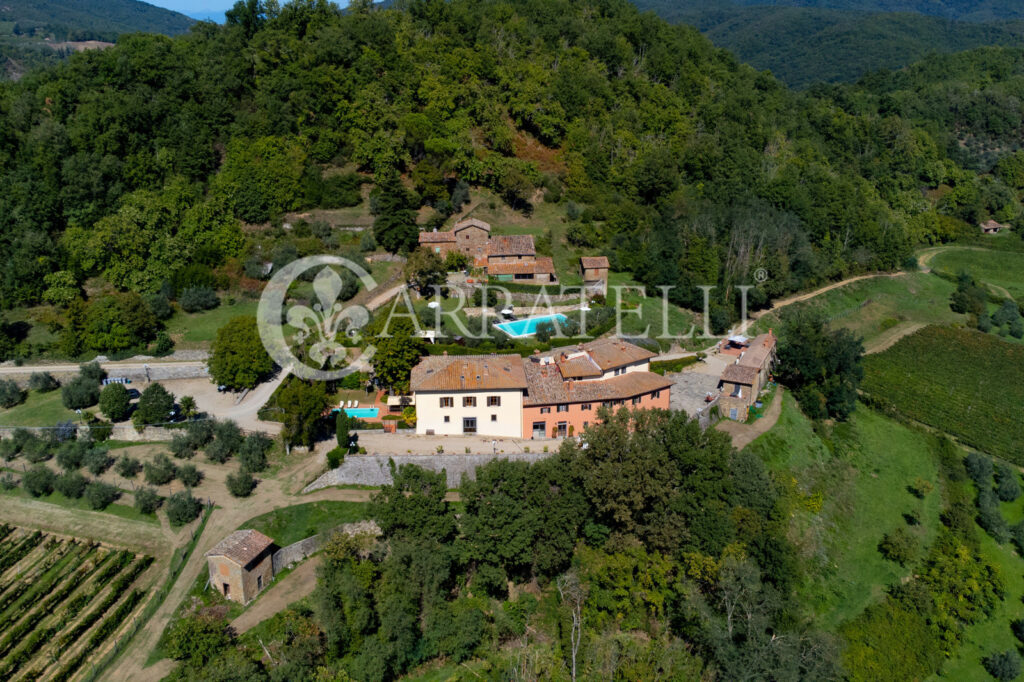 Farm with accommodation in Chianti