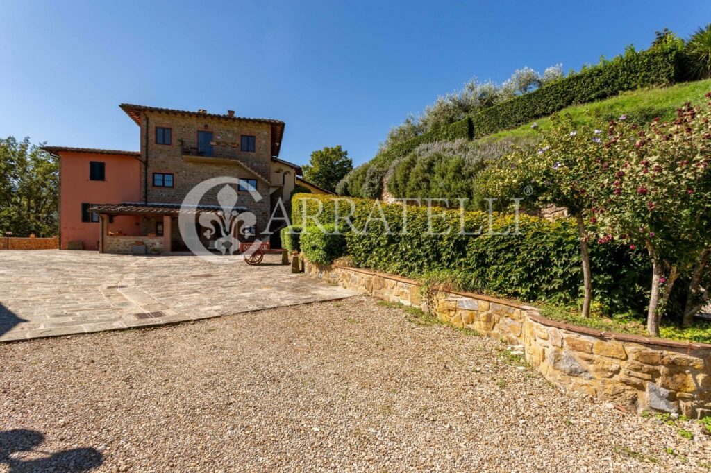 Farm with accommodation in Chianti