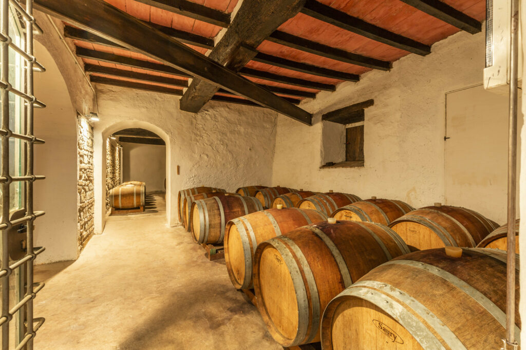 Azienda vitivinicola – ricettiva vicino a Firenze