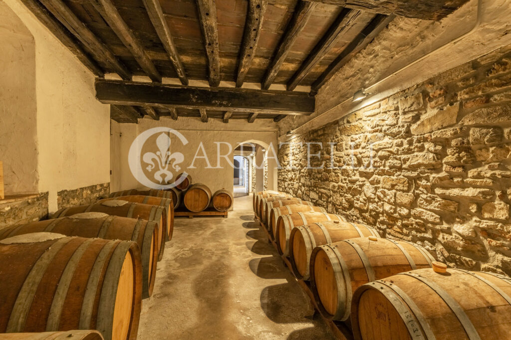 Azienda vitivinicola – ricettiva vicino a Firenze