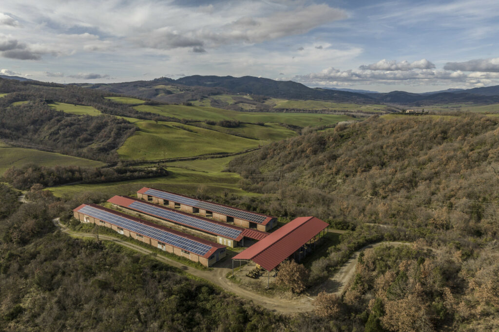 Azienda agricola con riserva di caccia a Siena
