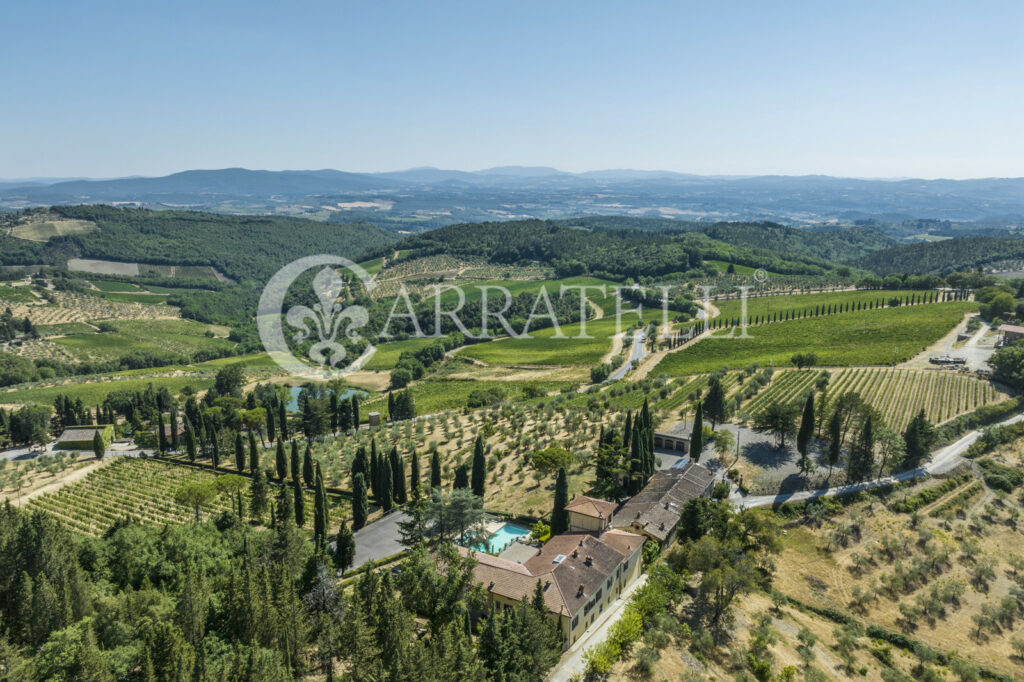 Wine and oil farm with park and swimming pool
