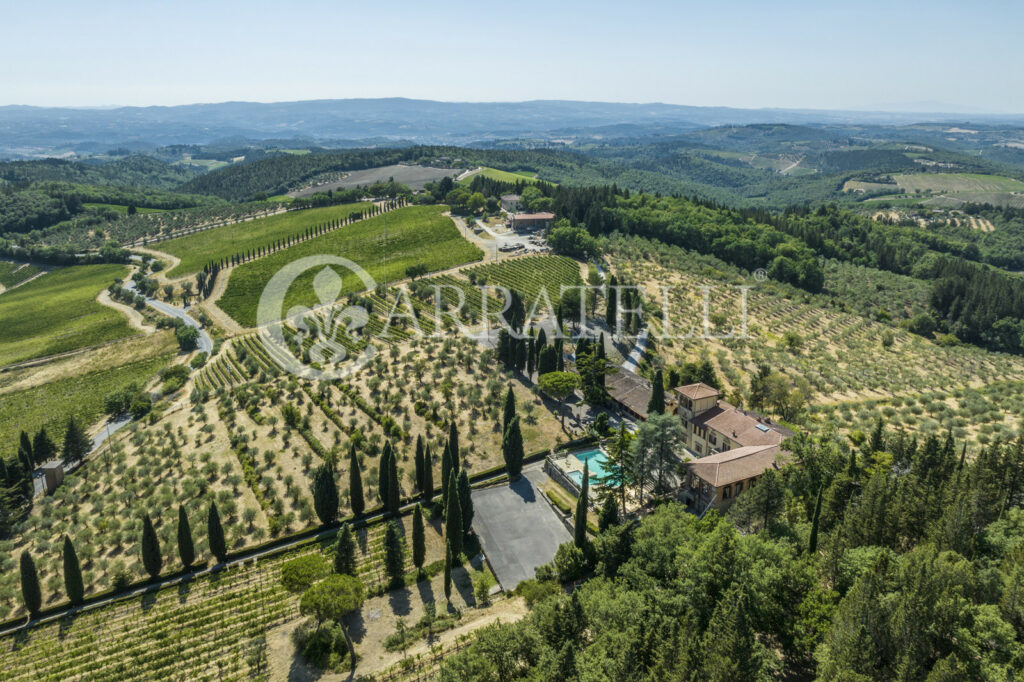 Azienda vitivinicola e olearia con parco e piscina