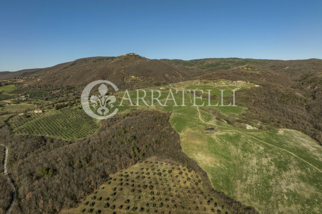 Val D’Orcia Farm with accommodation